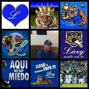 Meet your Posher, Franklin